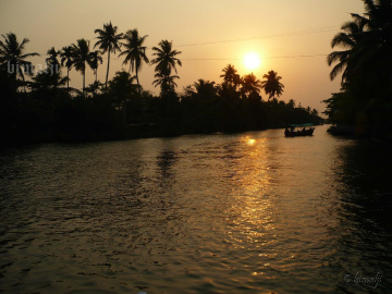 golden lights