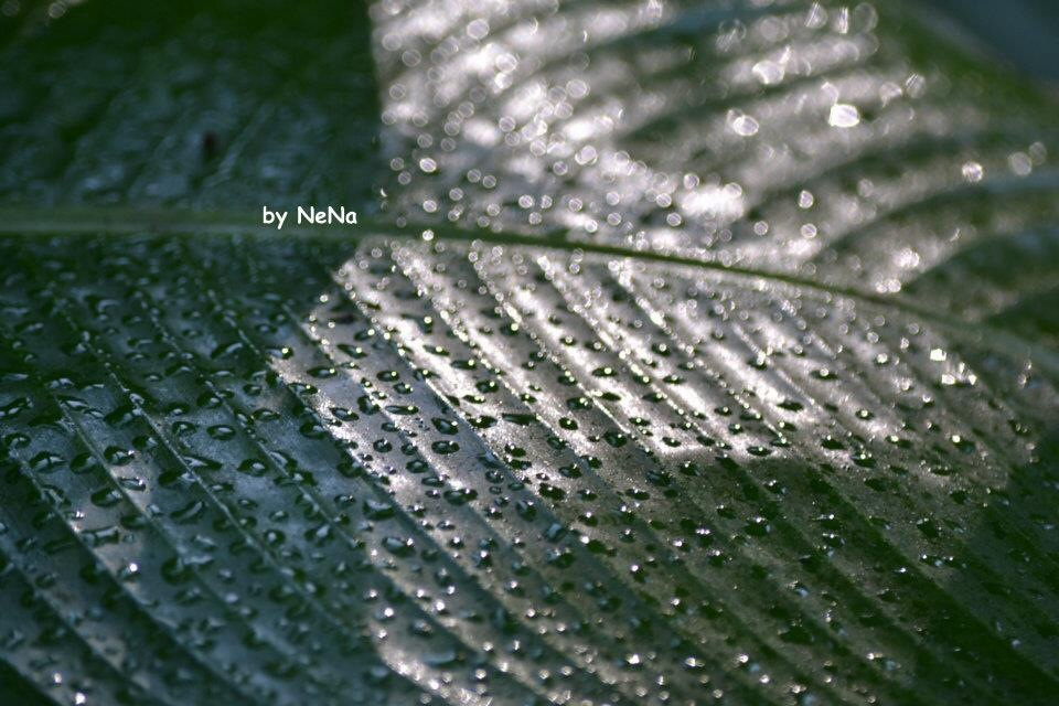 Sun and rain