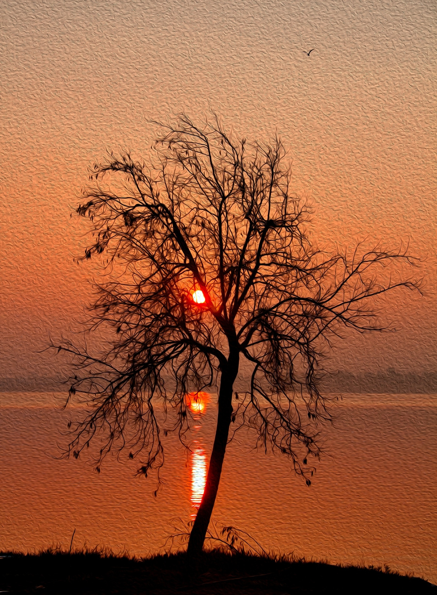 Dalyan Gölü'nde Gündoğumu