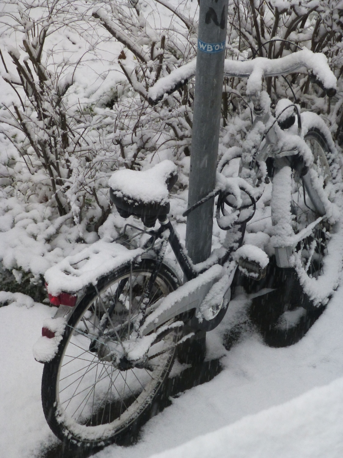 Schnee 2012
