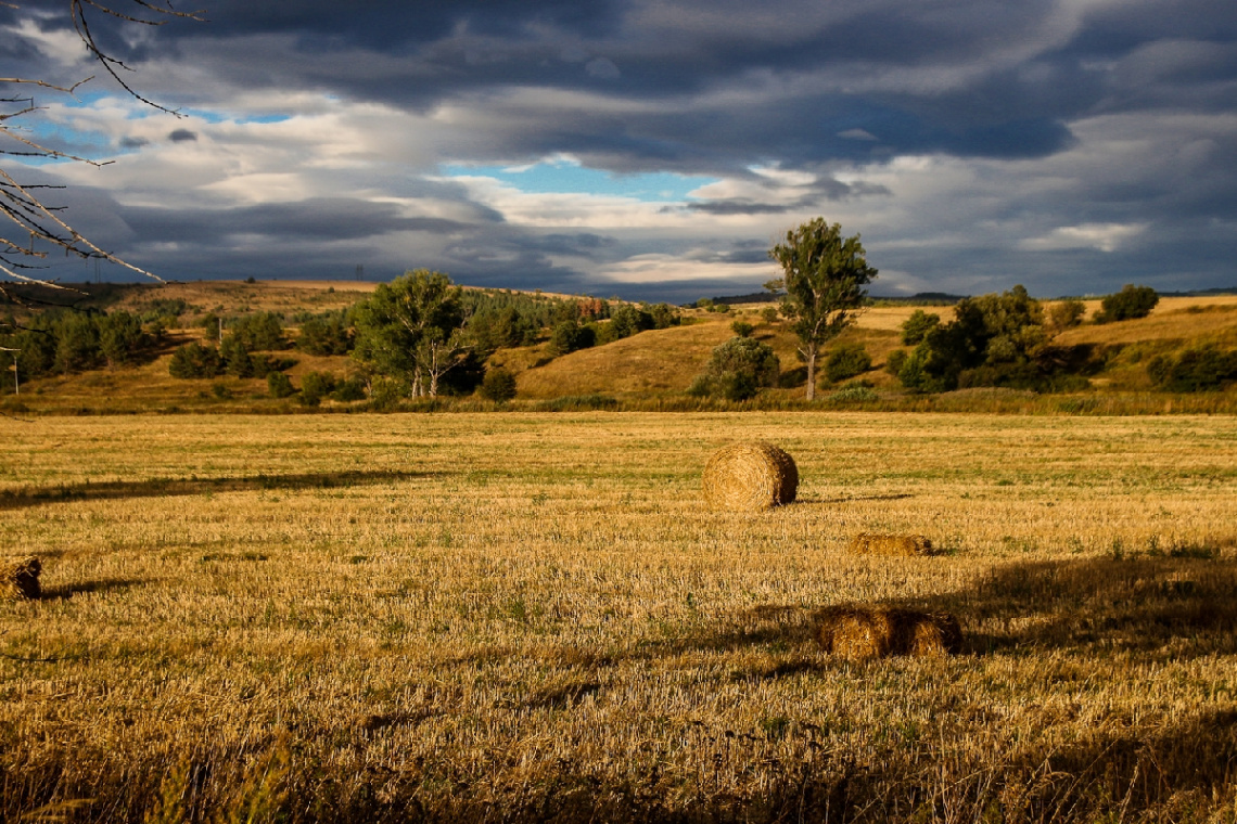 autumn view