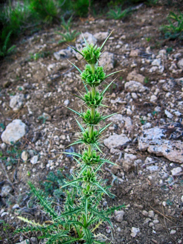 Dokunmak cesaret ister