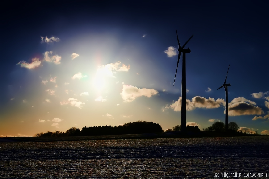 Don Quixote