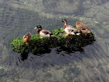 aile saadeti.....
