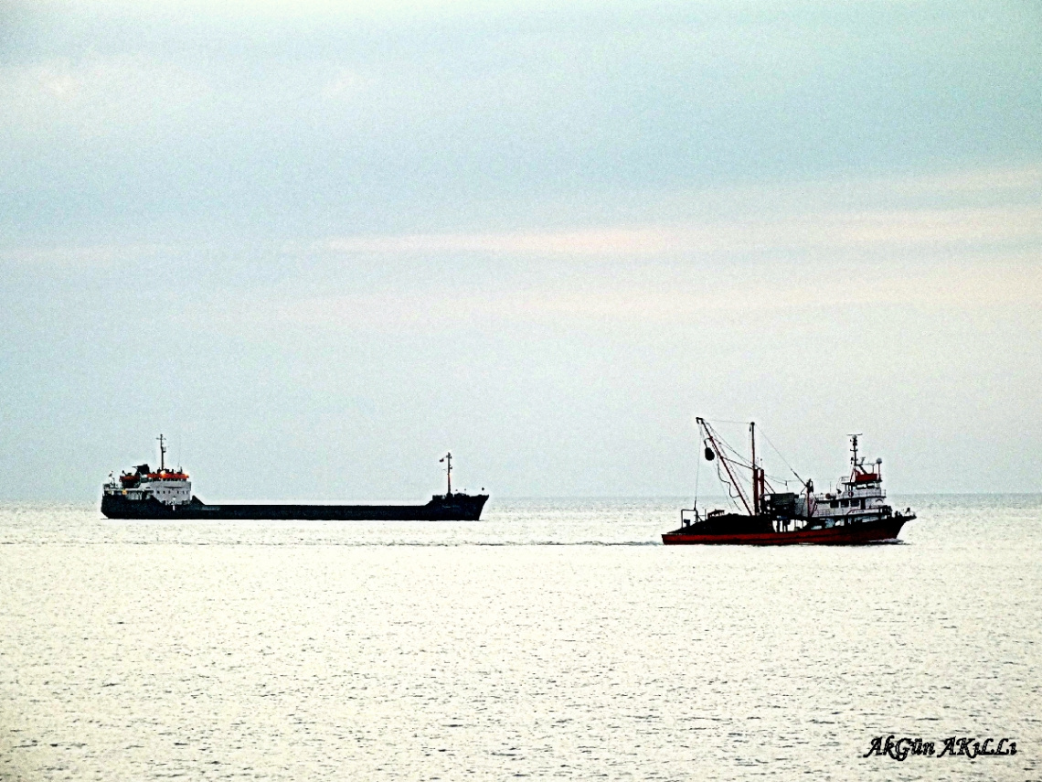 deniz
