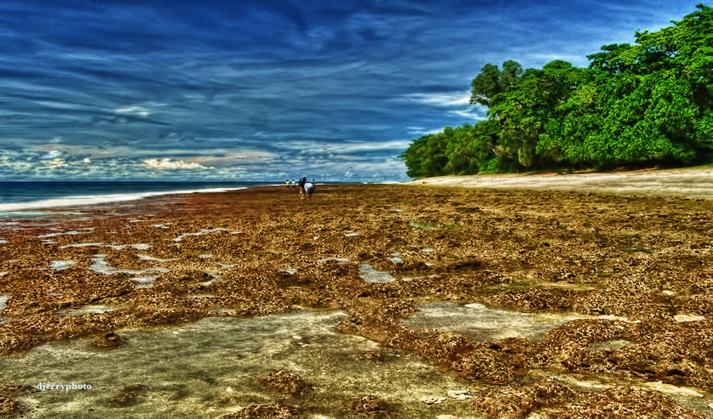 Low tide