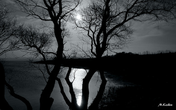 Black & White