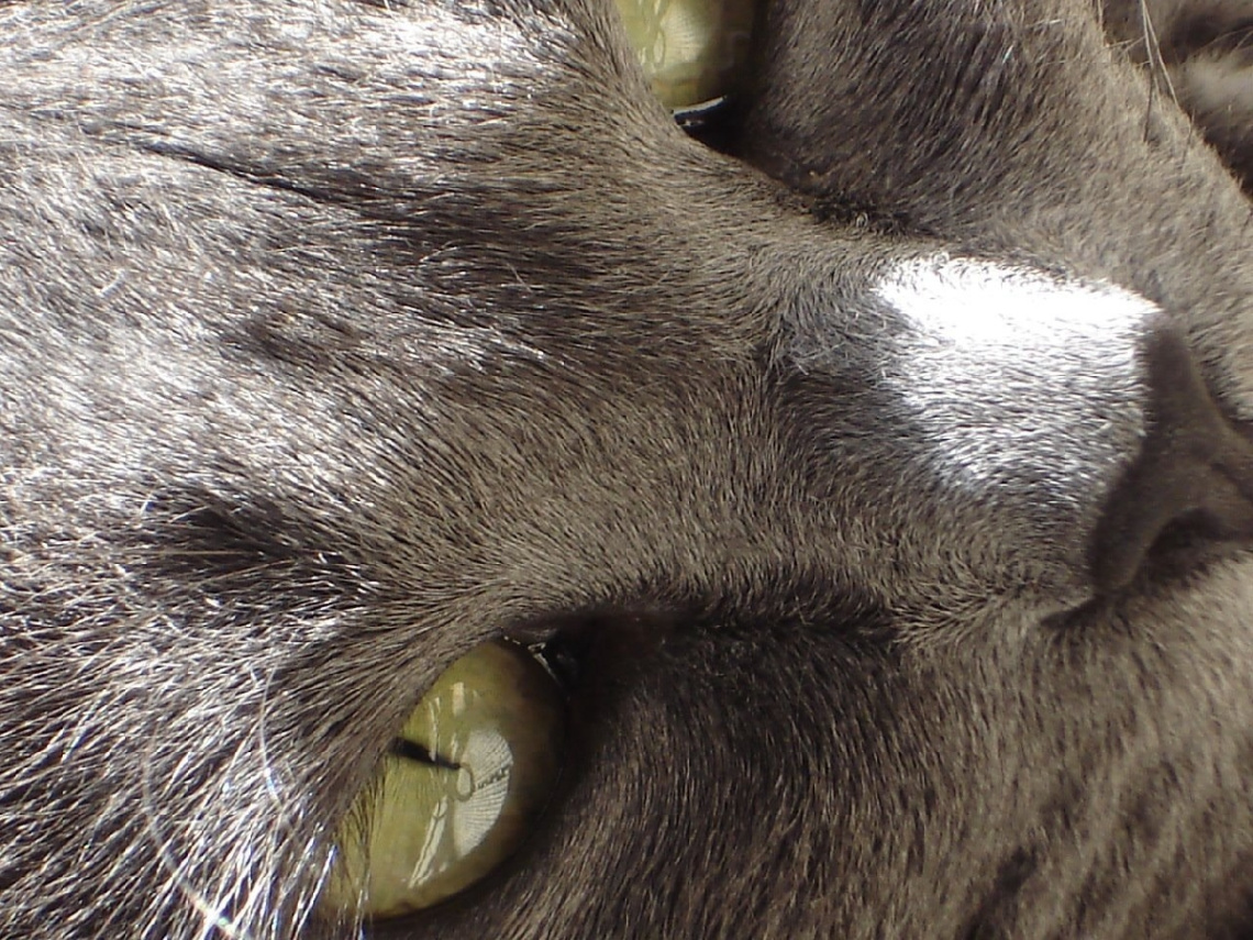Up close and personal
