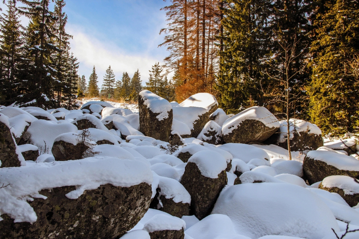 winter beauty