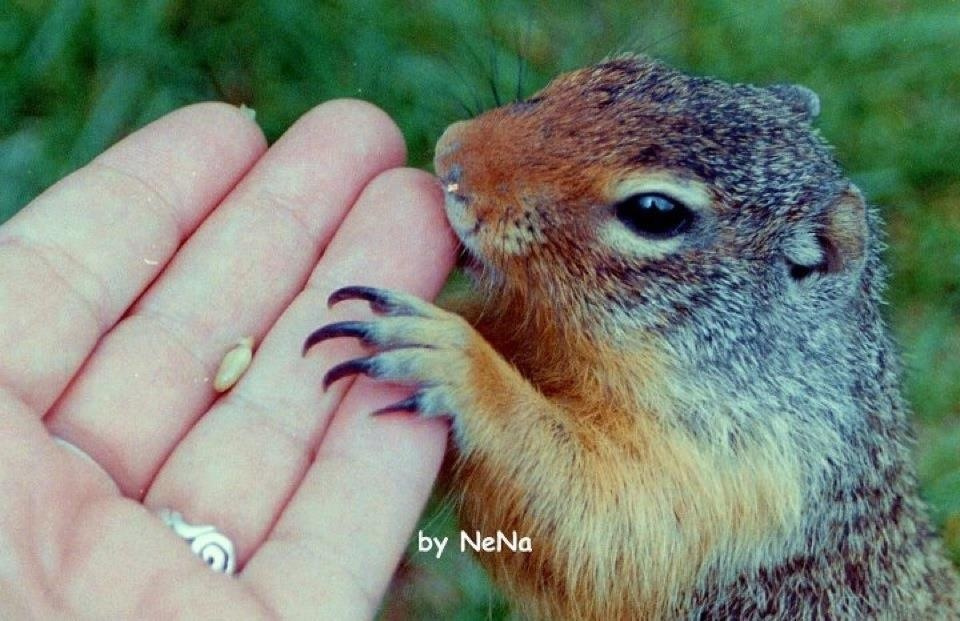 Eating out of my hand