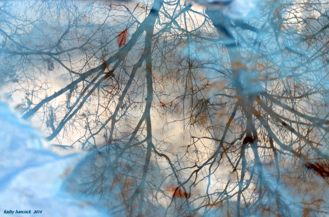 Reflection in the Rain