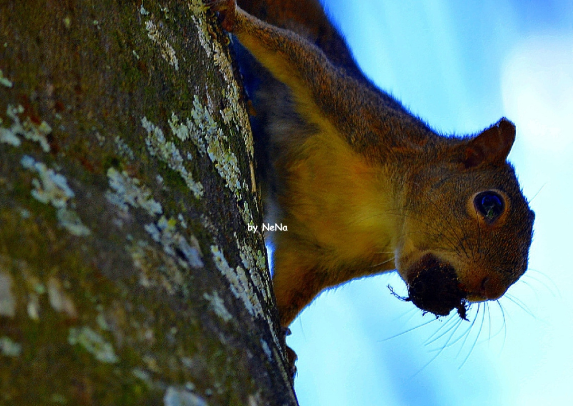 curious