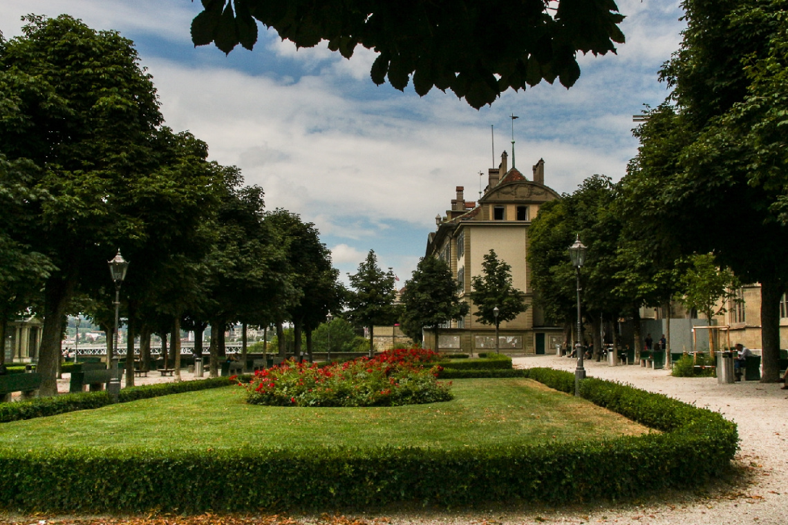 Garden
