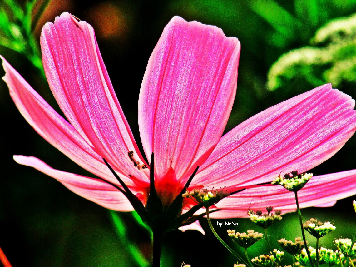 Illuminated