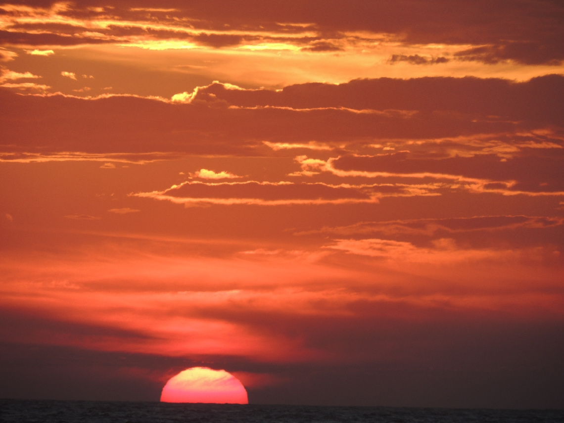The sun
