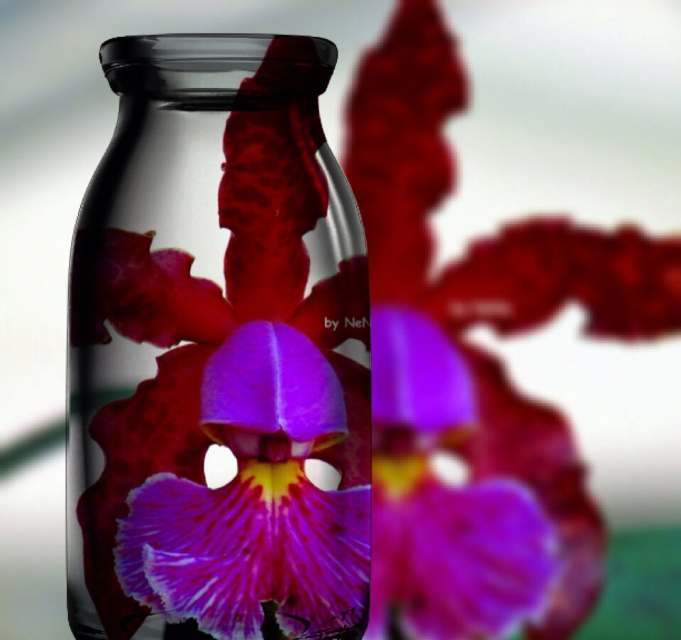 Through the glass
