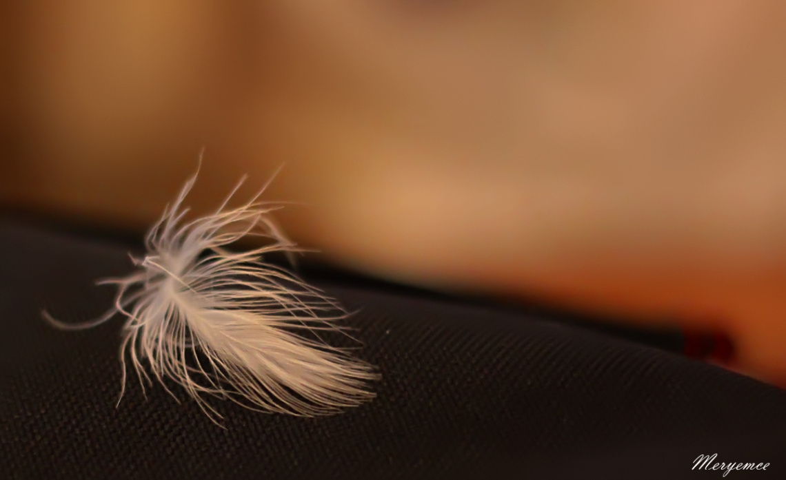 Fluffy