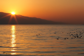 When the sun goes down