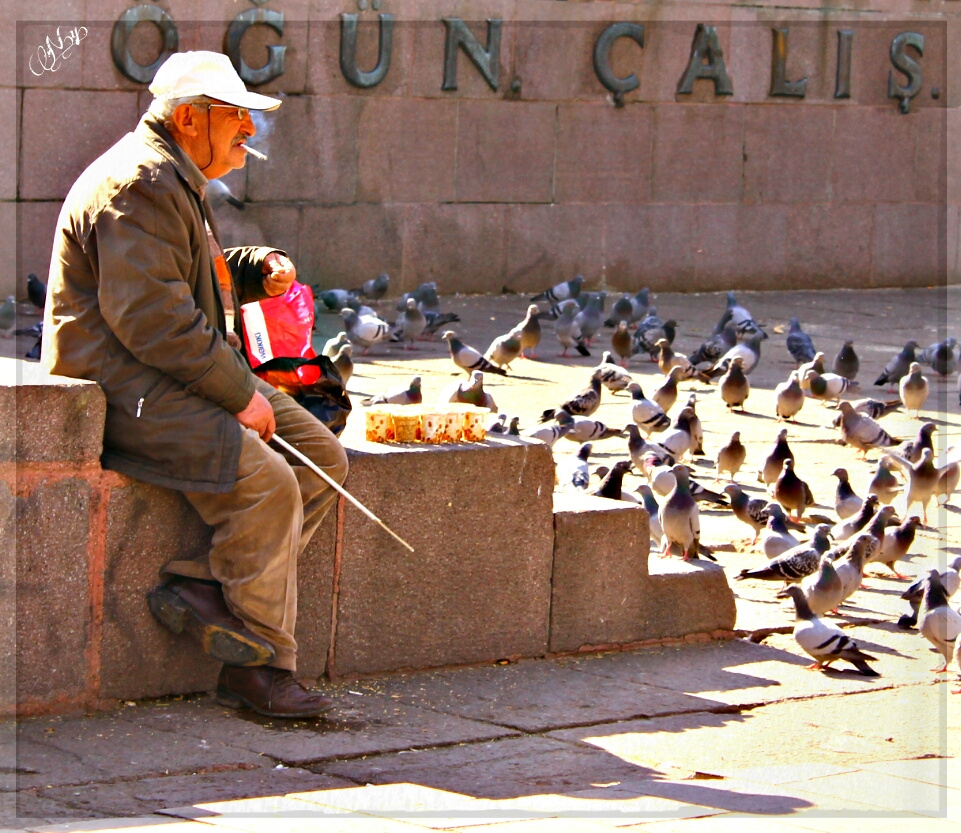 guvenparktan..