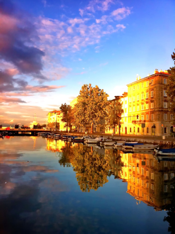 golden reflections