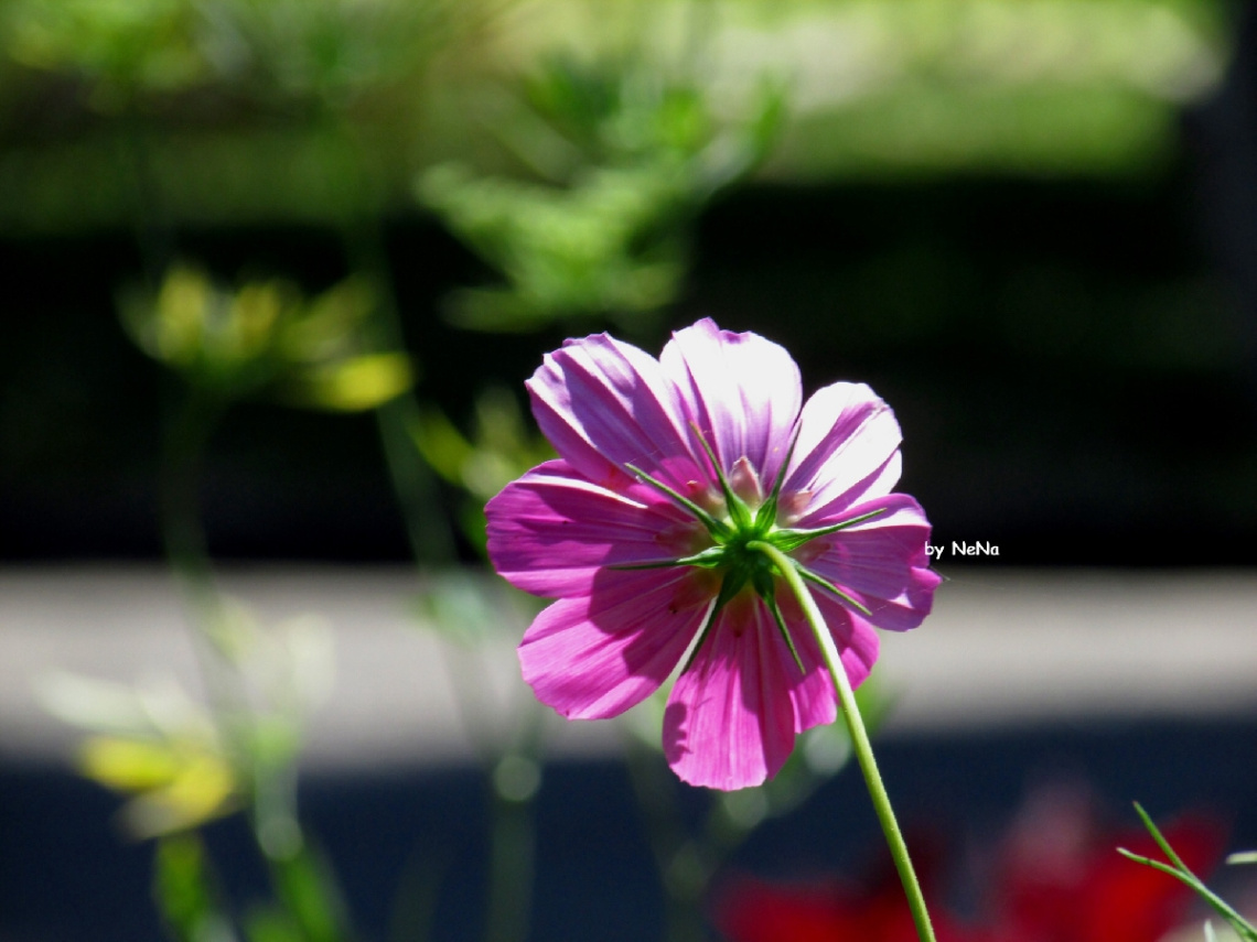 beautiful from all sides