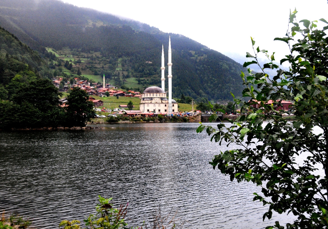 yayla....