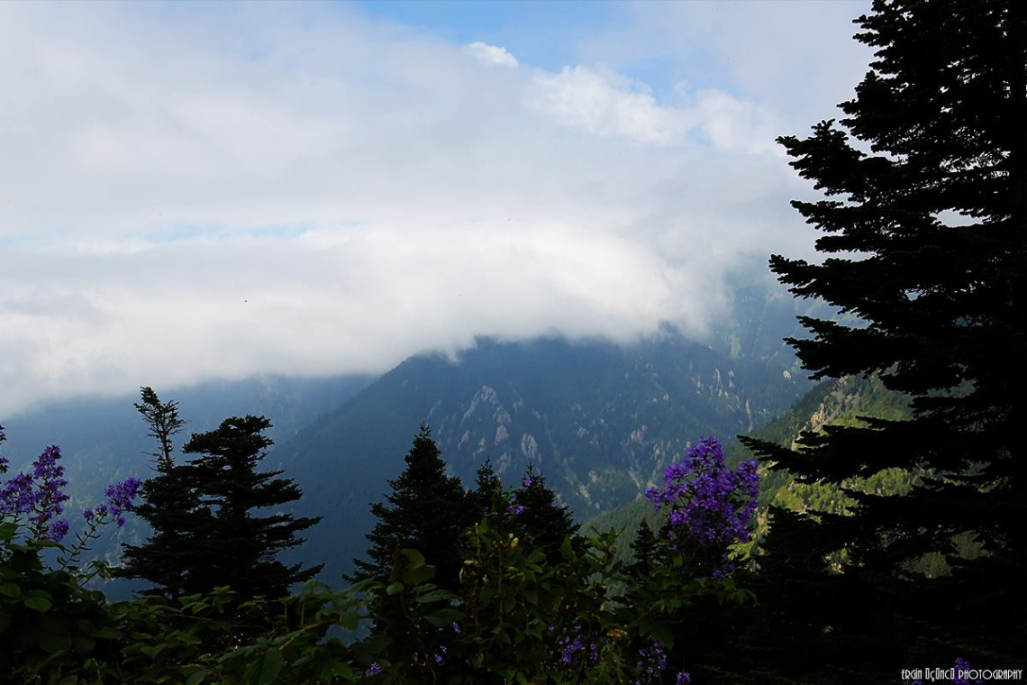 Turkey - Trabzon - Caykara