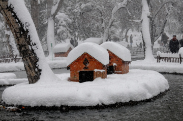 güle güle...kış....