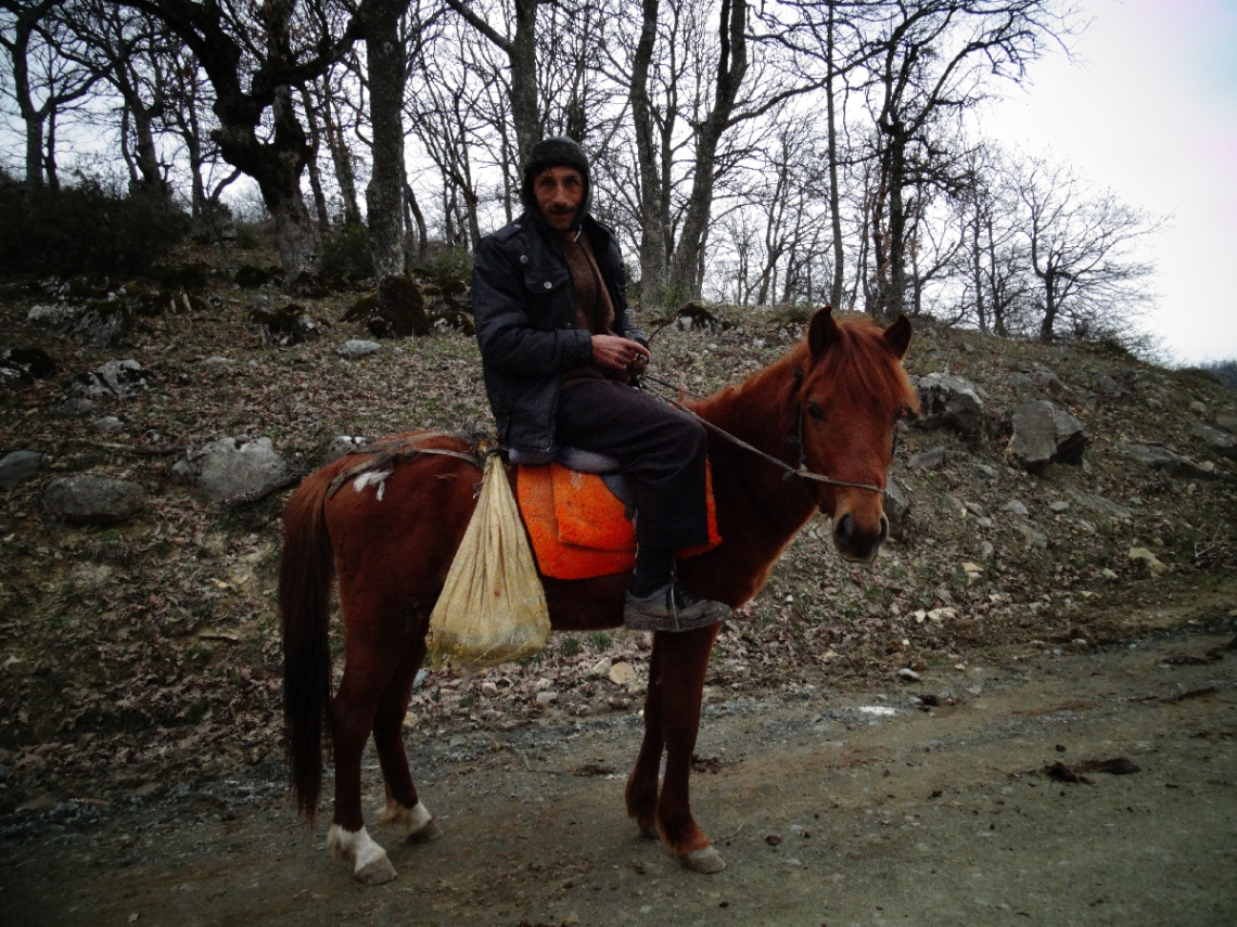 AT SIRTINDA SIĞIR ÇOBANI