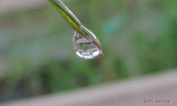 Dew Drop with Shed Refracted 2