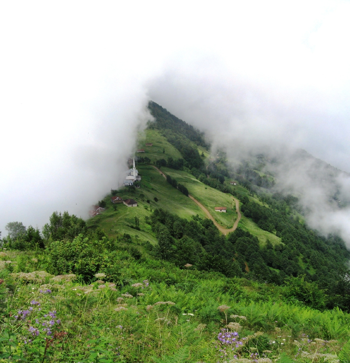 Kavgadüzü