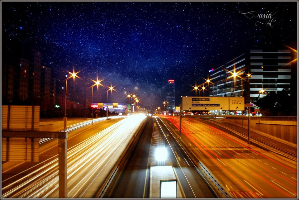 YOL