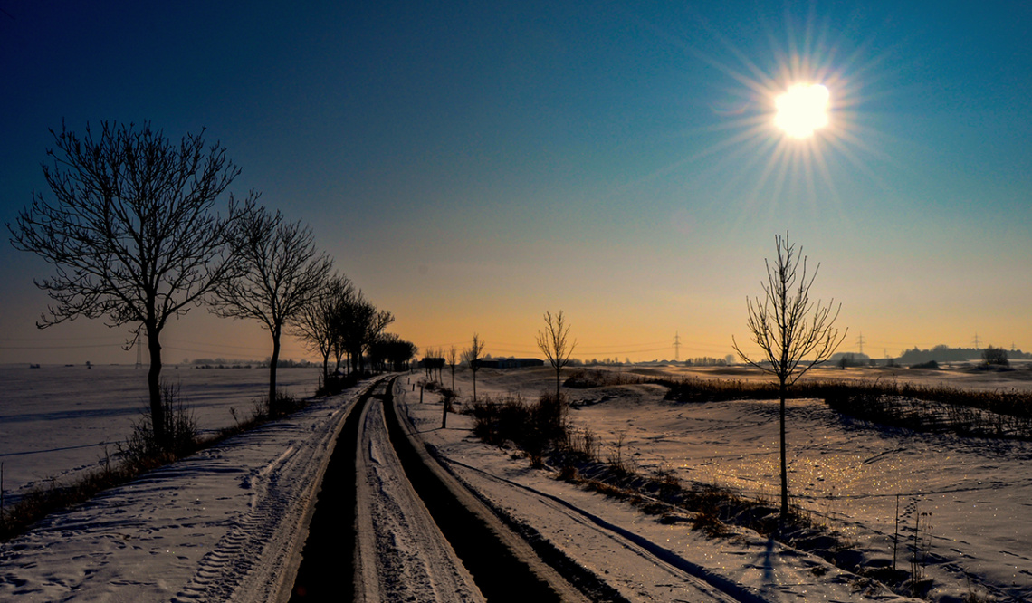 Winter Day