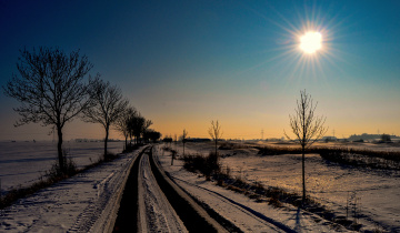 Winter Day
