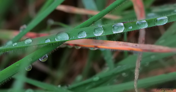 drops in a row
