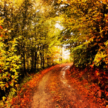 güzün doğaya yansıması