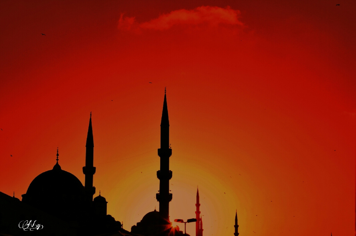 ters ışık severlere :)
