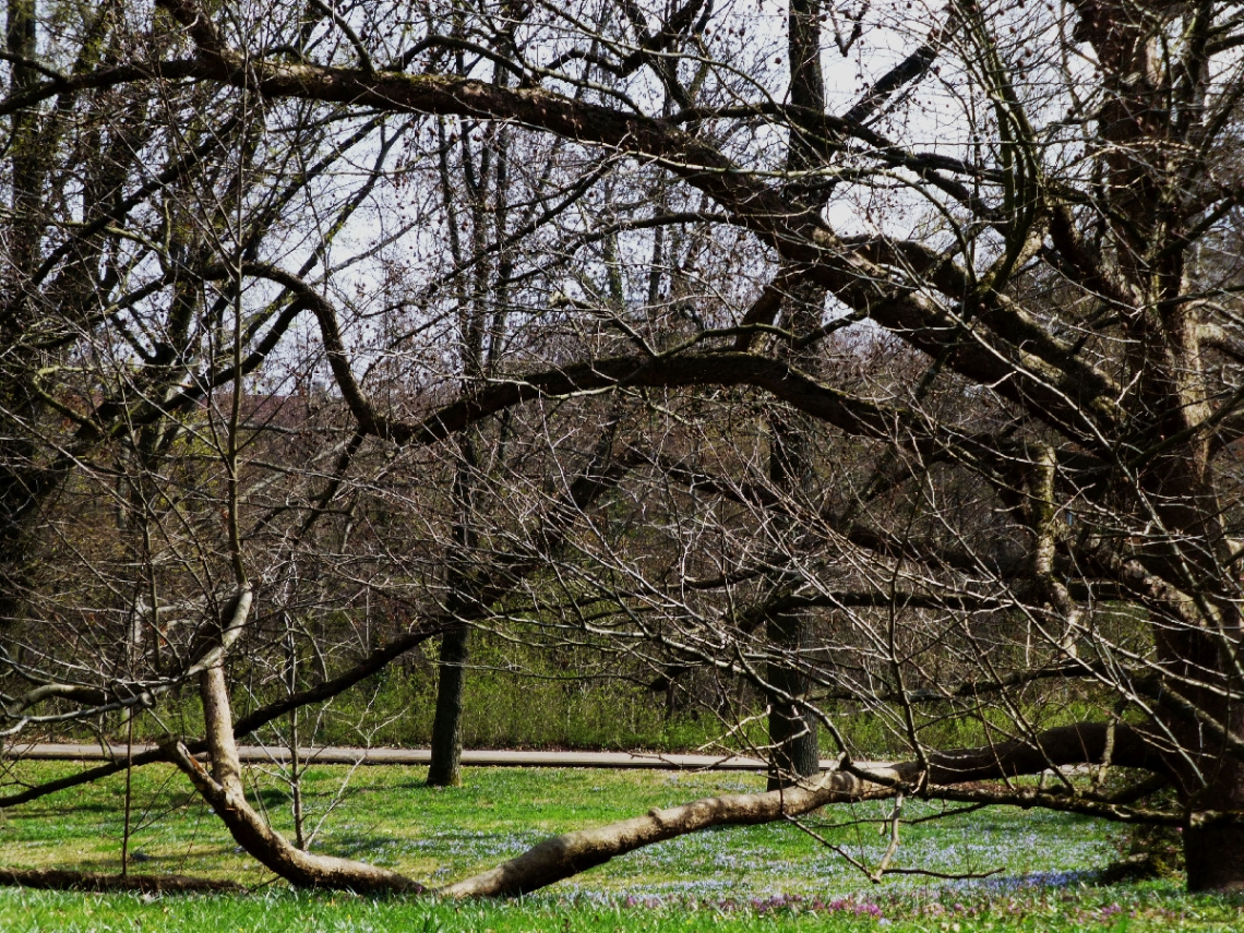Killesberg-Park, Stuttgart/Germany