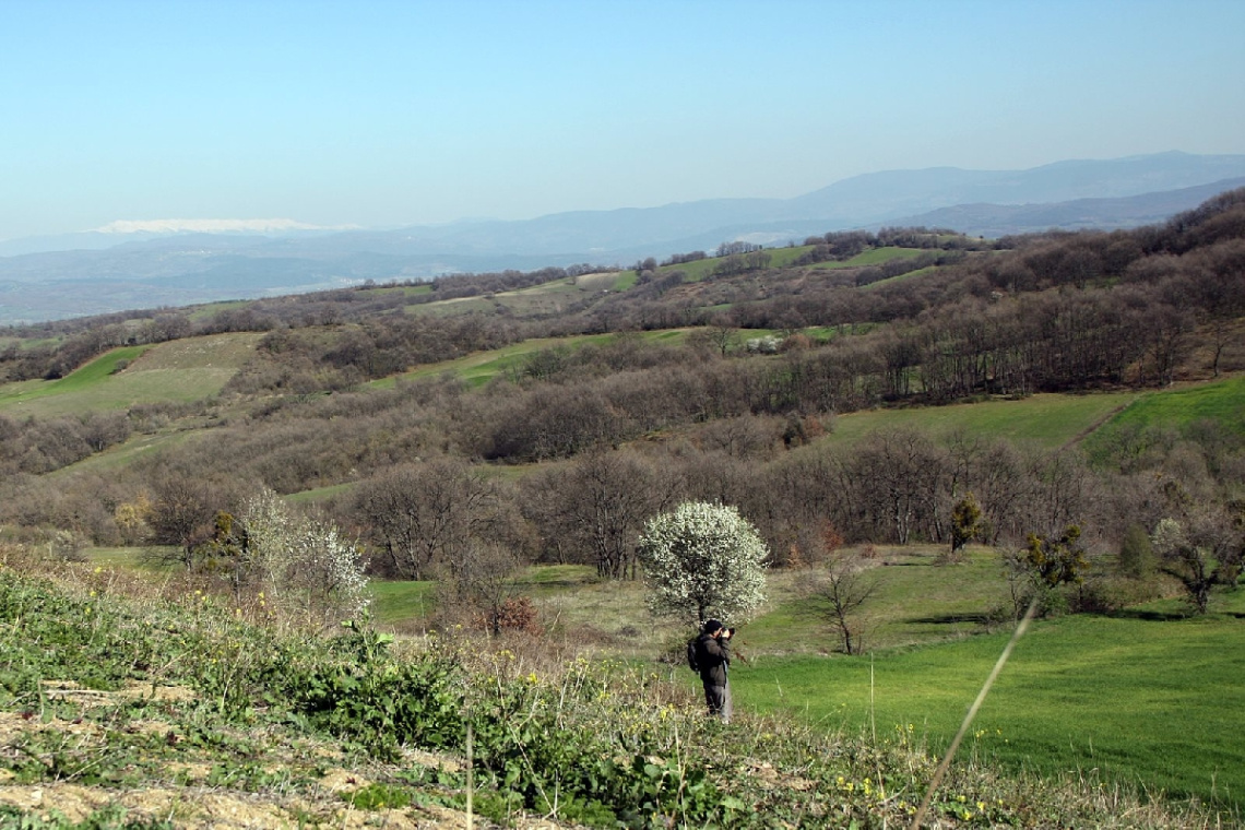 Kayabaşı - MKPaşa