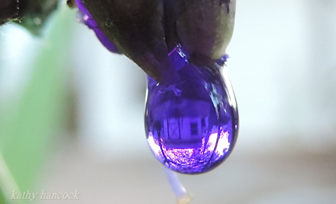 Purple Rain...Purple Rain