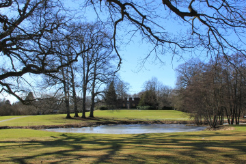 In The Park