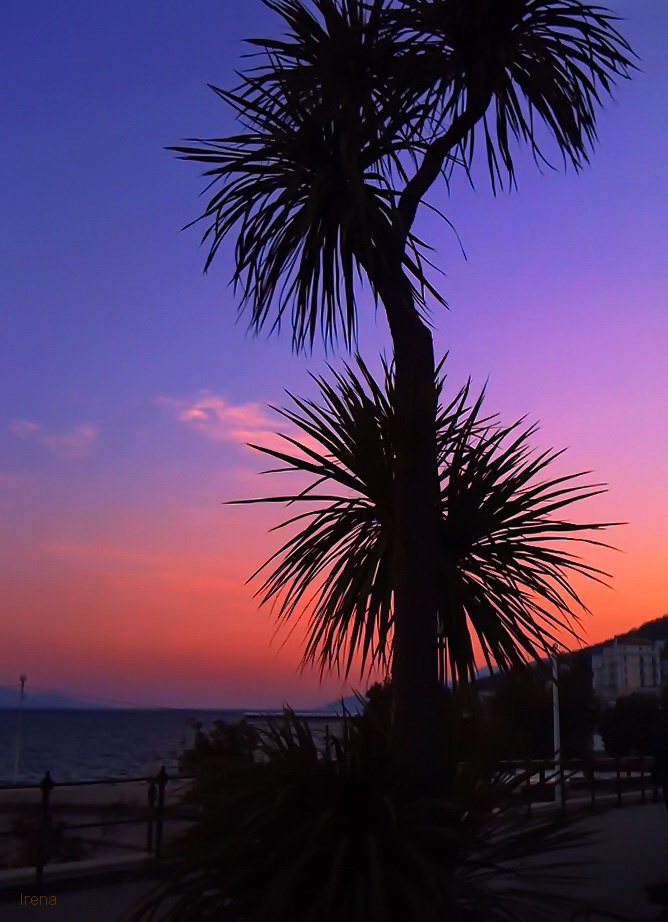 in sunset