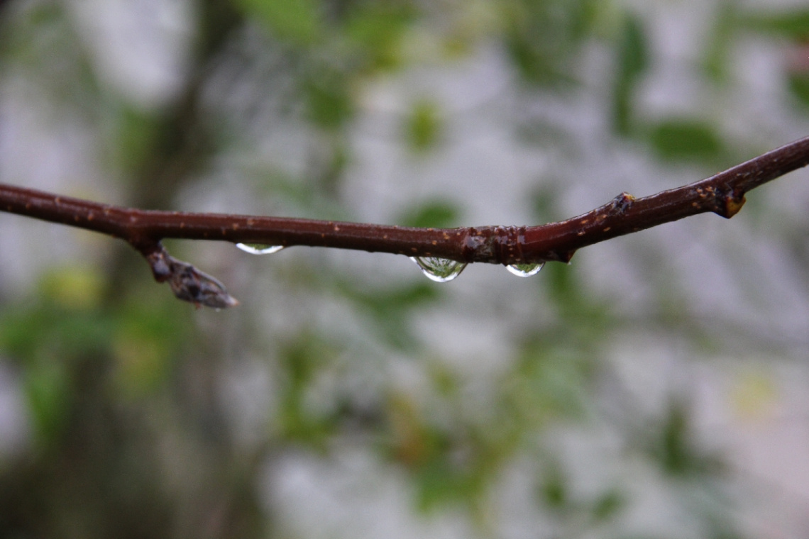 A Rainy Day