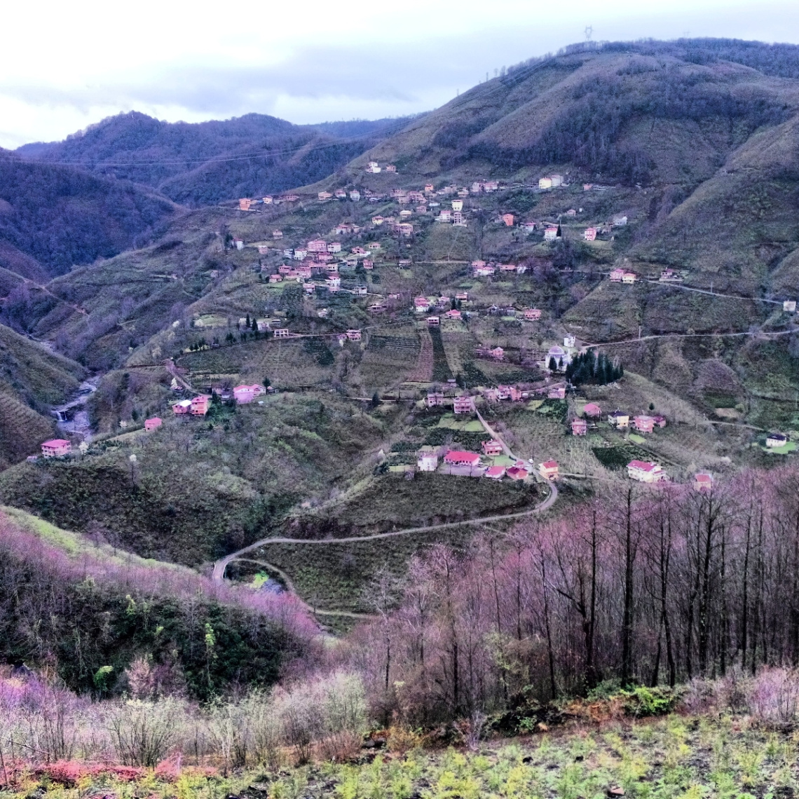 turkey/ordu/karaoluk