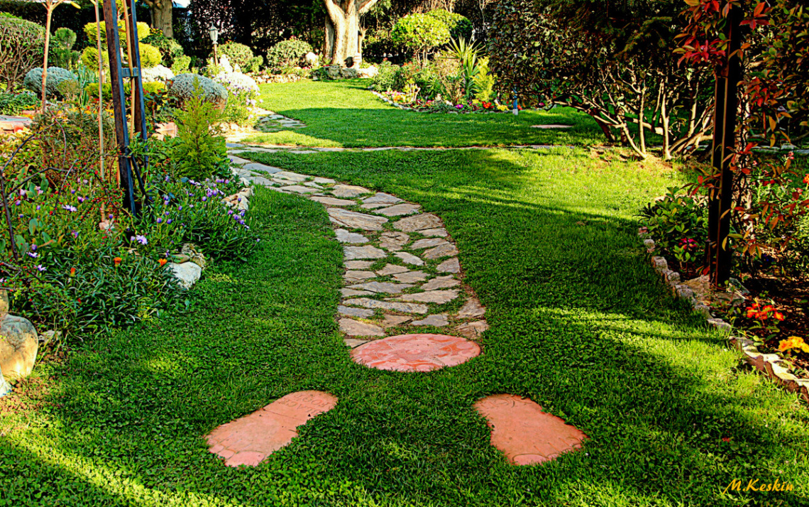 My Garden