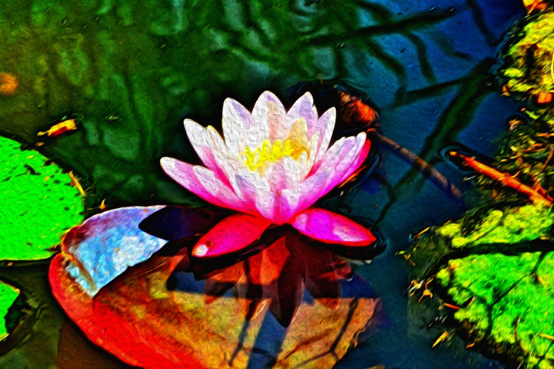 Lotus
