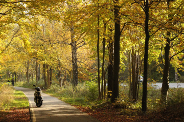 Went For A Ride Last Autumn