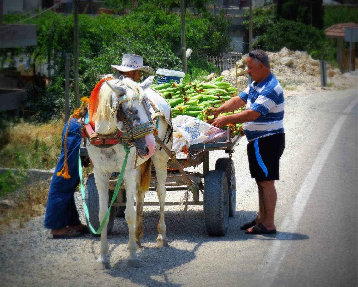 Ekmek parası