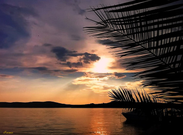 gold sunset