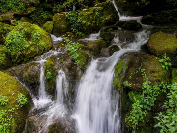Stream